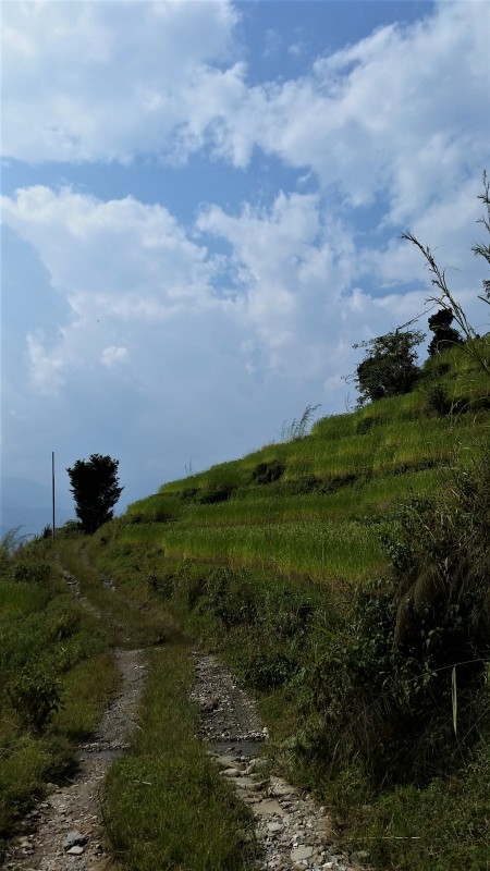 Hillside Path Pokhara